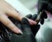 Close-up of a nail technician applying pink gel polish to a client's fingernail with a brush, wearing black gloves.
