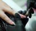 Close-up of a nail technician applying pink gel polish to a client's fingernail with a brush, wearing black gloves.